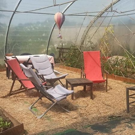 Appartement En Bord De Mer 40 M2, 2 Personnes Étables المظهر الخارجي الصورة